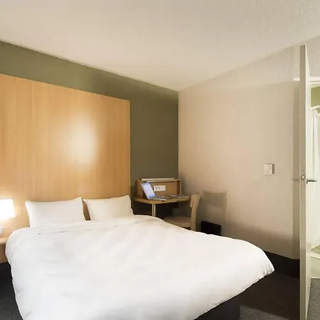 Purpan Zenith Toulouse