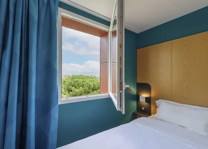 Purpan Zenith Тулуза