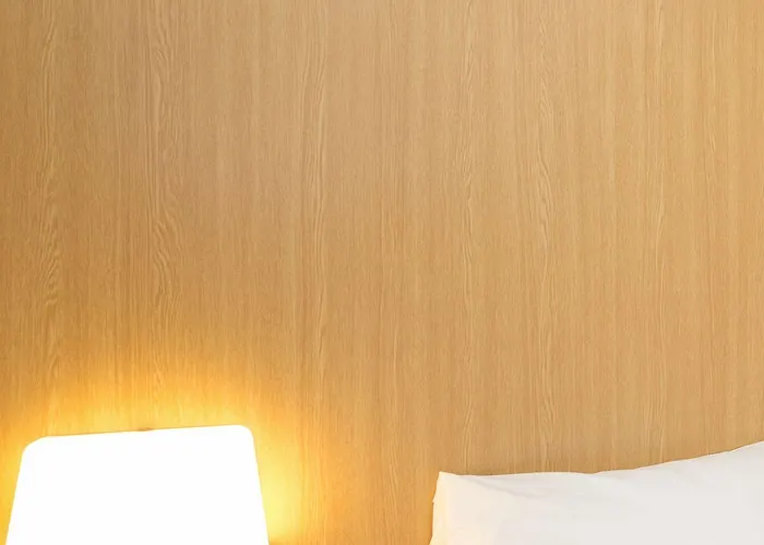 Отель Purpan Zenith